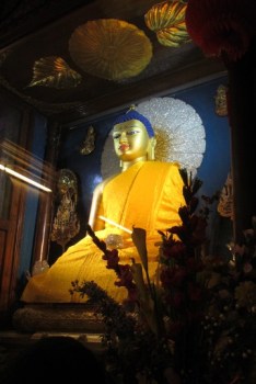 ???????????????????????????????