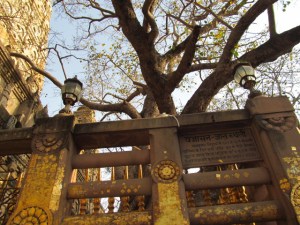 Mahabodhi 1