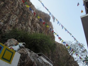 Thrill of Uruwela (1)