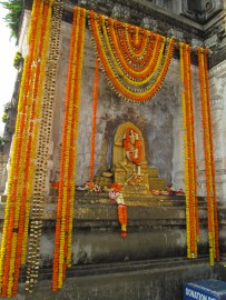 ???????????????????????????????